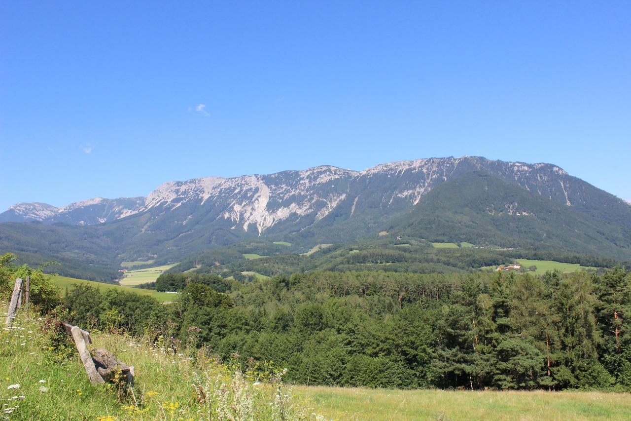 Flackl - Wirt Hotel Reichenau Bagian luar foto